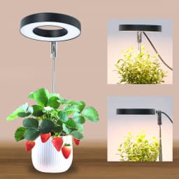 LED Angel Ring Grow Plant Light DC5V USB Phytolamp for Plants Led Full Spectrum Lamp For Indoor Seedlings Home Flower Succulet
