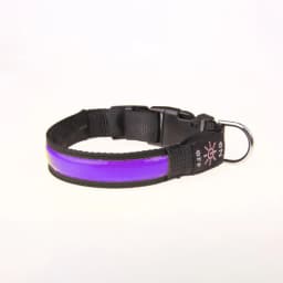 Pinkycolor USB Charging LED Dog Collar Luminous Light Night Safety Reflective Leather Glowing Collar For Dogs Pets Rechargeable