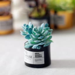 Mini Potted Plant 1:12 Dollhouse Miniature Tree Potted Plant Green Plant Model For Doll House Furniture Home Garden Decor