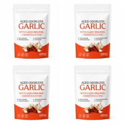 Odorless Aged Garlic Extract Softgels, 600mg AGE with 50mg CoQ10 Ubiquinol, Standardized S-Allyl Cysteine, Lifestyle, 60 Count