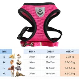 Cat Leash and Harness Cat Tent Kitten Harness Strap for Cats Neck Belt Anti Escape Pets Vest Harness Dog Neck Belt MBD01