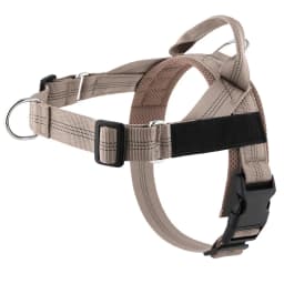 Personalized Reflective No Pull Harness for Small Medium Dog Washable Explosion-proof Comfort Dog Harnesses Pechera Para Perro