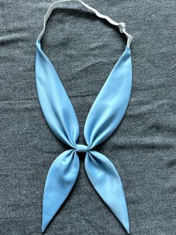 Classic Wine Red Ladies Bow tie Shirts Collars Tie For Women Business Bowknot Student Bow Ties JK Butterfly Girls Suits Bowties