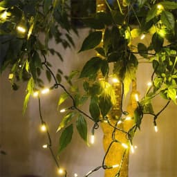 100 Counts Connectable Incandescent Bulbs Fairy Light Green Wire Mini Christmas String Lights Garland for Christmas Tree Decor