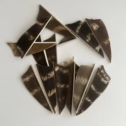 50 Pcs RW Natural Turkey Archery Arrow Feathers Shield 3/4/5 Inch Arrow Fletching Vanes For Bow Arrow DIY Fletches Feather