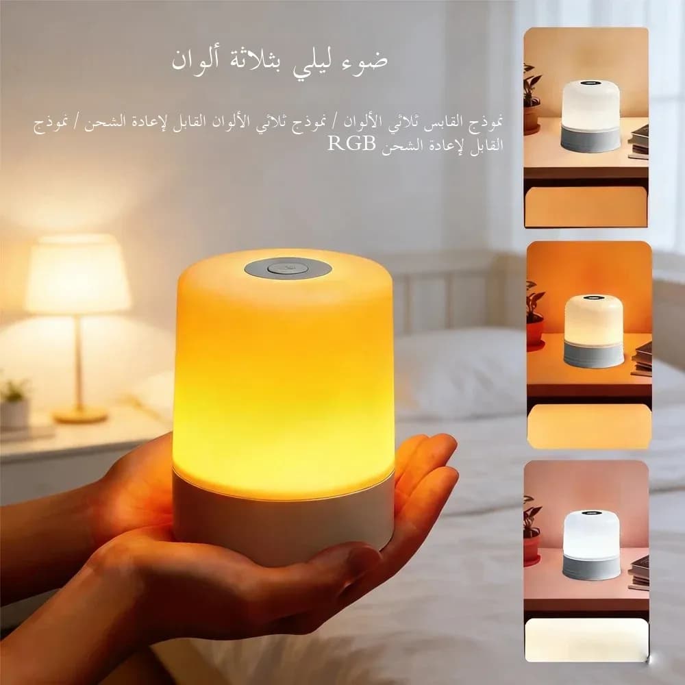 LED Night Light Dimmable Rechargeable/Plug-in Desktop Bedroom Bedside Lighting Decorative Touchscreen Reading RGB Desk Lamp