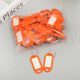 100x Coloured Plastic Key Fobs Luggage ID Tags Labels Key rings with Name Cards, For Many Uses - Bunches Of Keys, Luggage