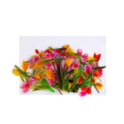 100pcs Flowers Sticker pack Rose Tulip Daisy Transparent Waterproof Plant hand account Decoration Scrapbooking Material