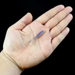 50pcs Mini Soft Fishing Lures, T-tail Worm Lure, Silicone Artificial Bait, Bass Pike Fishing Tackle