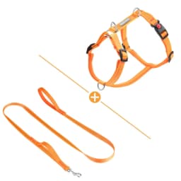 Adjustable Solid Nylon Dog Harness with 2 D-Rings Lightweight Comfortable No-Pull H-typed Dog Chest Harness Outdoor Pet Supplies