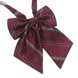 Polyester JK Necktie Simple Plaid Neckwear Striped Neck Tie Clothes Accessories Cravat Uniform Bow Tie Women Men