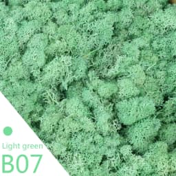 40g Simulation Artificial Moss Green Eternal Life Moss Grass Fake Plant For Home Wall Decor Garden Micro Landscape Material Gift