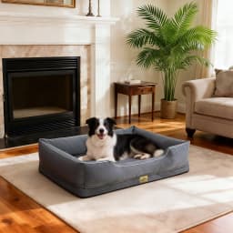 Orthopedic Dog Beds Dark Grey Pet Sofa Cushion with Removable Machine Washable Cover Foam Base & Bolsters Dog Couch for Large Medium Small Dogs