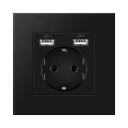 NYWP Wall USB Plug with EU Standard Double Plug 16A Wall Embedded AC 110V-250V New Style Panel Room Socket