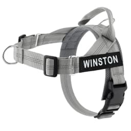 Personalized No Pull Dog Harness with Name Patch Escape-Proof Adjustable Reflective Soft Padded Dog Vest for Training Walking