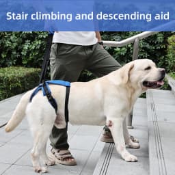 New Upgraded Dog Rear Leg Support Harness Adjustable Pet Lift Sling for Injured Disabled Elderly Dogs Walking Assistance Supply