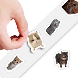 500pcs/roll Cartoon Meme Cat Stickers For School Reward Stickers Classroom Decoration Encouragement Sticker For Student Teacher