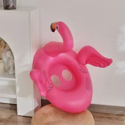 Unicorn Swimming Seat Ring Inflatable Pool Float Swim Tube Swim Circle Water Play Tube Summer Pool Party Float