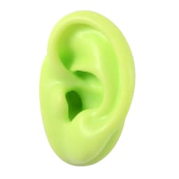 1 Pieces New Silicone Ear Model Professional Practice Piercing Tools Earring Ear Stud Display Tools Can Be Reused Body Jewelry
