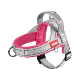 Dog Pet Chest Harness Wide Webbing Two-Color Contrasting Four Seadon Dog Harness Nylon Handle Outdoor Dog Walking Reflective