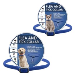 Flea And Tick Collar Adjustable Dogs Cats Necklace 8 Month Protection Anti-mosquitoes Insect Repellent Pet Supplies