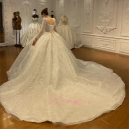 Luxury Square Neck Tulle Classic Vintage Design Simple Elegant Wedding Bride Dress Shimmering Customized فستان العر