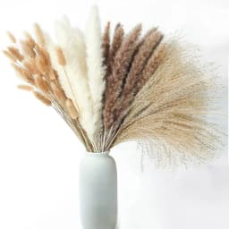 60-100PCS Natural Dried Pampas Grass Bouquet Boho Home Nordic Decor Bouquet Phragmites Dried Flowers Bouquet Wedding Decor