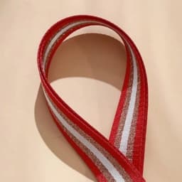 2-meter Wide 3.8cm Webbing Bag Belt Ribbon for DIY Textile Belt Decor Sewing Accessories