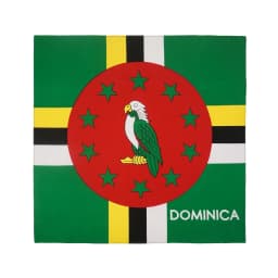 National Flag Pattern Bandana 100% Cotton Running Dancing Headband UK/ Korea/ Brazil/ Mexico/ Haiti Flag Scarf Hip Hop Headwrap