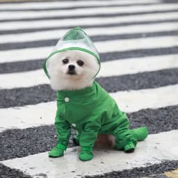 Waterproof Dog Clothes Small Dog Raincoat with Rain Shoes Boots Overalls Jumpsuit Pet Cat Puppy Rain Coat with Transparent Hood