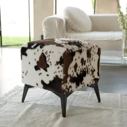 Imitation Cowhide Sofa Bench Living Room Shoe Changing Stool High Elastic Sponge Hallway Ottoman Iron Frame Home Furniture