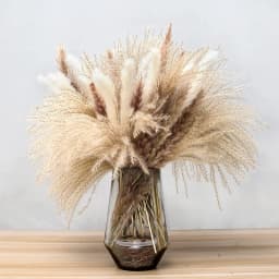 60-100PCS Natural Dried Pampas Grass Bouquet Boho Home Nordic Decor Bouquet Phragmites Dried Flowers Bouquet Wedding Decor