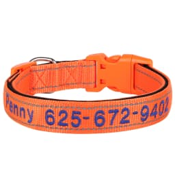 Custom Nylon Embroidered Dog Collar Personalized Pet ID Name Collars Refletive Necklace for Small Medium Large Dogs Accessories