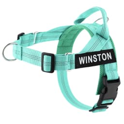 Personalized No Pull Dog Harness with Name Patch Escape-Proof Adjustable Reflective Soft Padded Dog Vest for Training Walking
