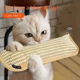 3-Piece Cat Play Set, Durable Cat Mint Bamboo Cat Scratching Post, Indoor Cat Toothbrushing and Chewing Stick