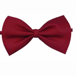 Butterfly Children Bowknot Bowtie Bow Tie school Cute Kids Accessories Girls Boys Baby Lovely Christmas Hot HB20