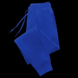 Women's Pants Blank Essential Basics Sweatpants Autumn Winter Fleece High Quality Fashion Sports Jogger Pants Women