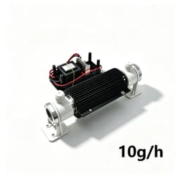 10G Air-Cooled Ceramic Tube Ozone Generator Ceramic Tube Ozone Generator Ceramic Tube for Water Sterilizer Purifier Disinfection