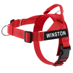 Personalized No Pull Dog Harness with Name Patch Escape-Proof Adjustable Reflective Soft Padded Dog Vest for Training Walking