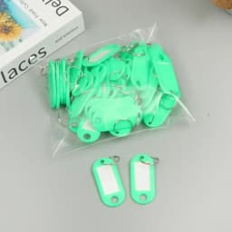 100x Coloured Plastic Key Fobs Luggage ID Tags Labels Key rings with Name Cards, For Many Uses - Bunches Of Keys, Luggage