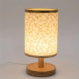 Fabric - Shaded Table Lamp, USB - Powered, Eye - Caring Warm Monochromatic Light, for Bedroom and Living Room Decoration.