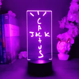 Cactus Jack 3d Illusion Lamp Cool Stuff to Room Decoration Lovely Birthday Gift for Fans Friends Bedroom Standby Nightlight