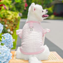 XS-XXL Thin Dog Cooling Vest Breathable Clothes Puppy Pet Costume for Small Dogs Cute Fruit Print Puppy Cheap T-shirt