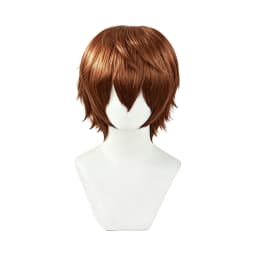 Multicolor Layered Short Spiky Synthetic Wig Unisex Anime Male Character Halloween Party Convention Game Cosplay Daily Fashion