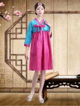 Embroidered Short Korean Traditional Costume Women's Dance Performance Clothes  Ethnic Group Large Long Jin Outfits