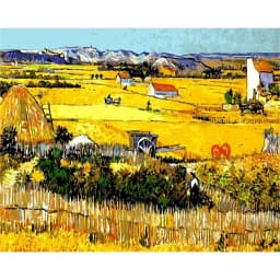 Famous Artist Van Gogh Starry Sky Iris Flower Sunrise Landscape DIY 11CT Cross Stitch Embroidery Kits Sale