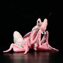 Lifelike Silkworm Moth Plush Toys Soft Insect Rosy Maple Moth Bee Pink Orchid Mantis Beetle Stuffed Animals Toy Gifts