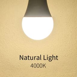 4PCS LED Light Bulbs 220V 3W 6W 9W 12W 15W 20W LED Bulb Energy Saving LED Bulbs E27 E14 B22 Standard Base Lighting