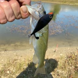 Propeller Plopper Chopp 20g 27g Bait 5X Strong Hook Swimbait Pesca Spin Wobbler Spinnerbait Fishing Topwater Crankbait Lure Kit