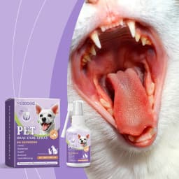 Pet Flea Spray Spray Effectively Removing Fleas Ticks Relieve Skin Itching Natural Ingredients Non Irritating Pet Flea Repellent